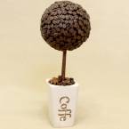 Кофейный топиарий - дерево счастья